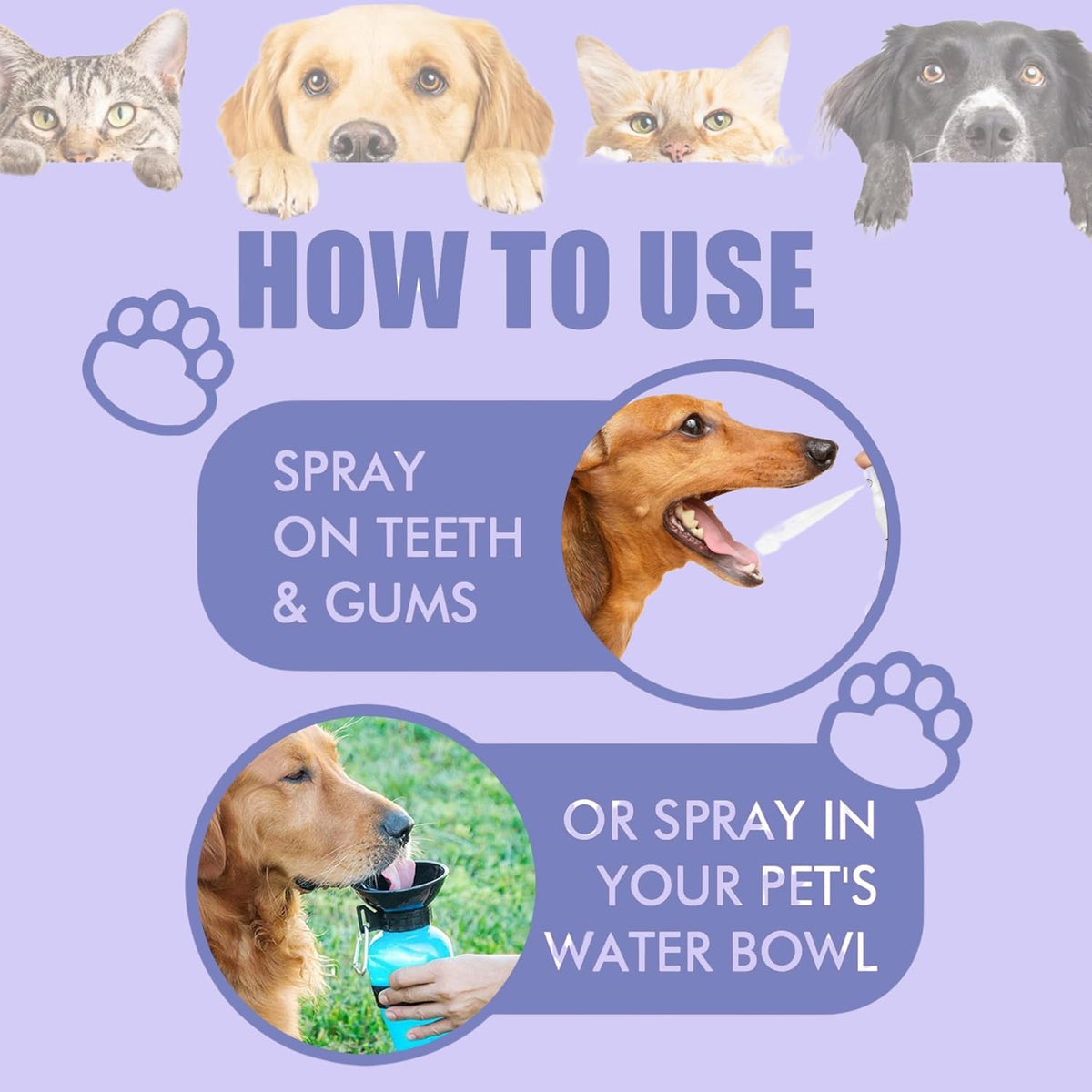 Cat & Dog Dental Cleaning Spray — Removes Tartar Stains, Freshens Breath, Pet Oral Care Spray