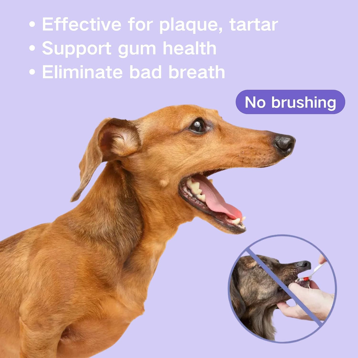 Cat & Dog Dental Cleaning Spray — Removes Tartar Stains, Freshens Breath, Pet Oral Care Spray