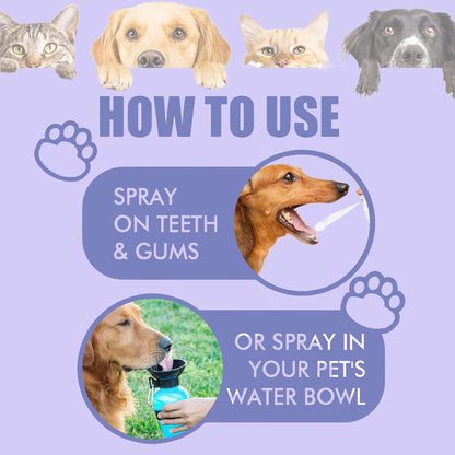 Cat & Dog Dental Cleaning Spray — Removes Tartar Stains, Freshens Breath, Pet Oral Care Spray