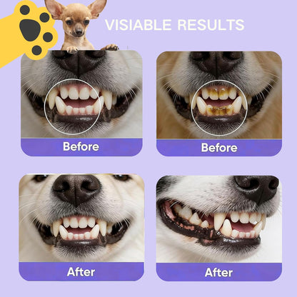 Cat & Dog Dental Cleaning Spray — Removes Tartar Stains, Freshens Breath, Pet Oral Care Spray