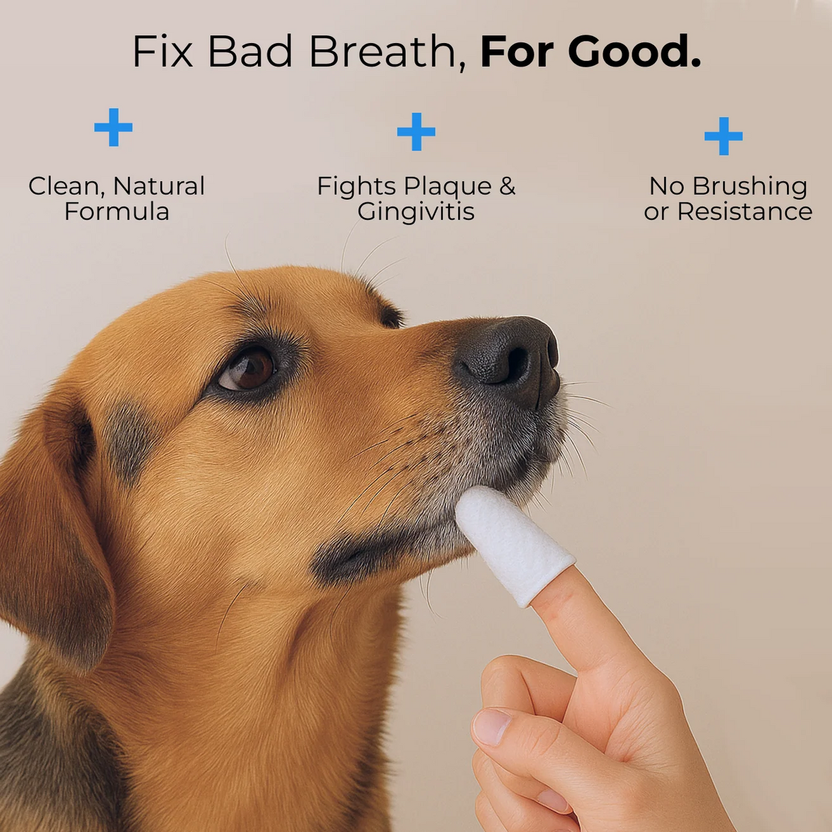 Natural Pet Dental Finger Wipes